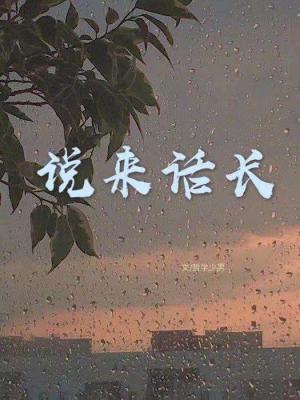 说来话长封面