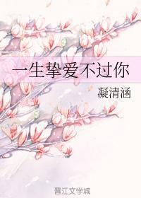 一生挚爱不过你封面
