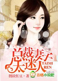 总裁妻子太迷人封面