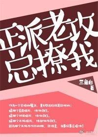 正派老攻总撩我封面