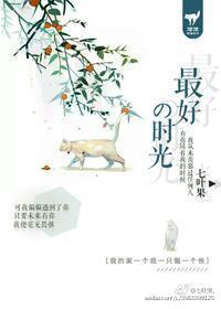 最好的时光封面
