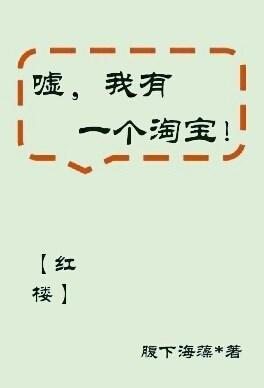 [红楼]嘘，我有一个淘宝！封面