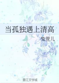 当孤独遇上清高封面