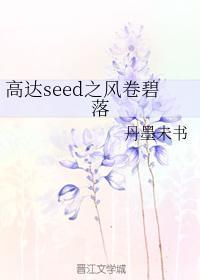 高达seed之风卷碧落封面