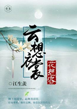 云想衣裳花想容封面