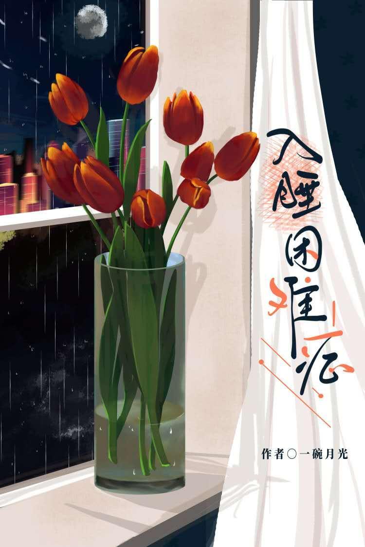 入睡困难癥封面