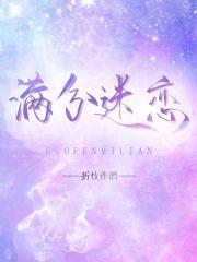 满分迷恋封面