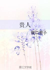 贵人封面