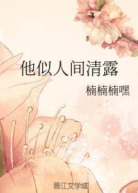 他似人间清露封面