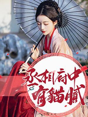丞相府中有猫腻封面