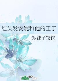 红头发安妮和他的王子封面