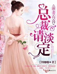 前妻有喜,总裁请淡定!封面