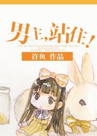 男主，站住！封面