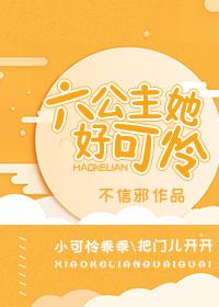 六公主她好可怜封面