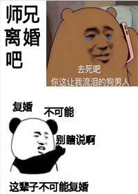 师兄,离婚吧封面