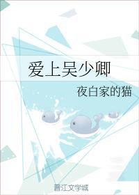 爱上吴少卿封面