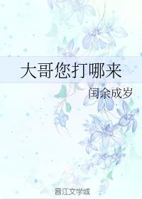大哥您打哪来封面