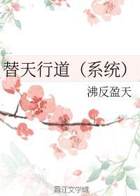 替天行道(系统)封面