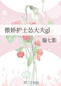 傲娇护士怂大夫gl封面