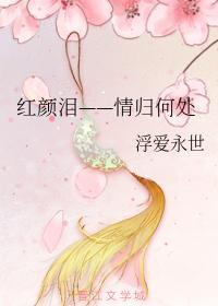 红颜泪——情归何处封面