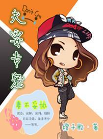 夫要专宠妻不妥协封面