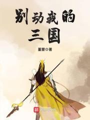 别动我的三国封面