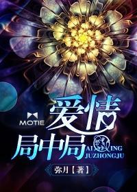 爱情局中局封面