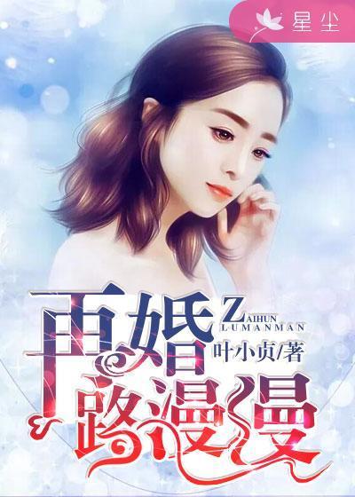 再婚路漫漫封面