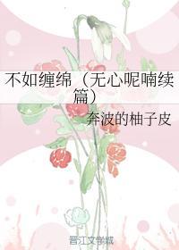 不如缠绵（无心呢喃续篇）封面