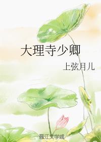 大理寺少卿封面