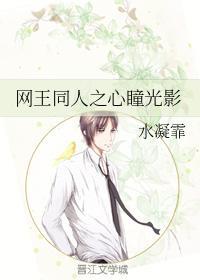 网王同人之心瞳光影封面