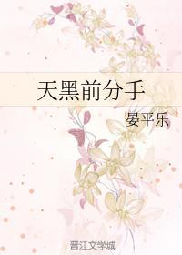 天黑前分手封面