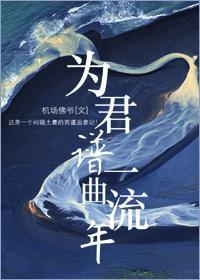 为君谱一曲流年封面