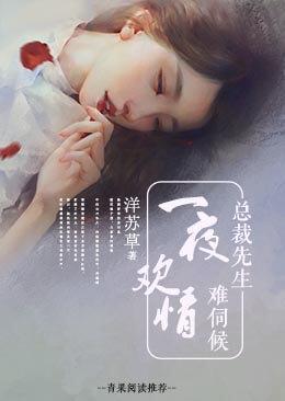 一夜欢情：总裁先生难伺候封面