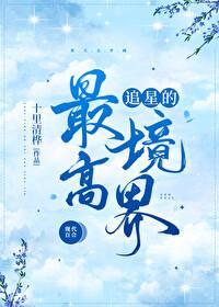 追星的最高境界封面