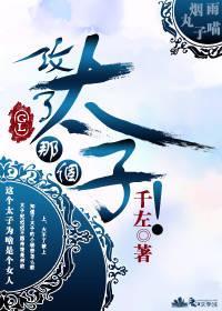 攻了那个太子!(gl)封面
