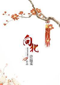 向北封面