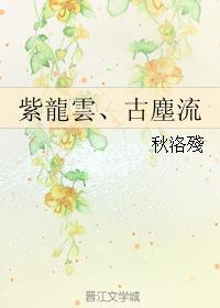 紫云龙、古尘流封面