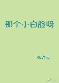 那个小白脸呀封面
