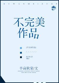 不完美作品封面