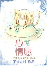 心甘情愿封面