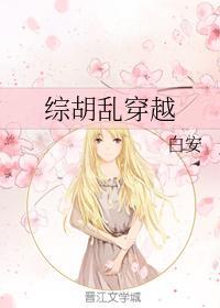 综胡乱穿越封面