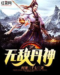 无敌丹神封面