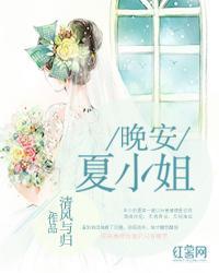 晚安夏小姐封面