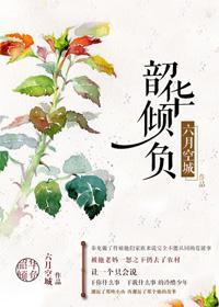 韶华倾负封面