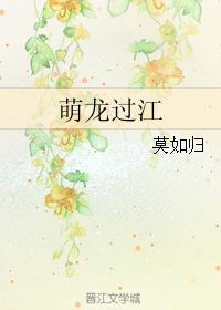 萌龙过江封面