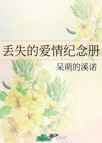 丢失的爱情纪念册封面