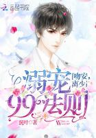 溺宠99法则：吻安，离少封面