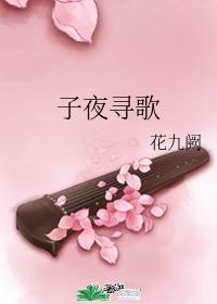 子夜寻歌封面