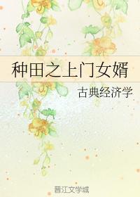 种田之上门女婿封面